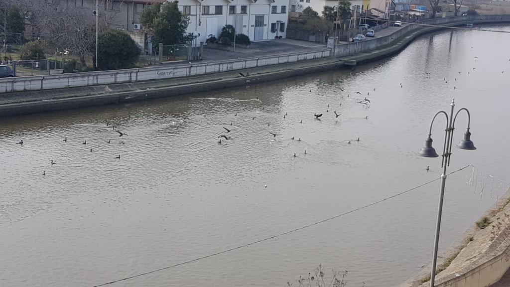 Palazzo Spada - Attico Con Terrazza Vista Fiume In Centro Daire Codigoro Dış mekan fotoğraf