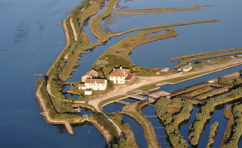 Palazzo Spada - Attico Con Terrazza Vista Fiume In Centro Codigoro Dış mekan fotoğraf